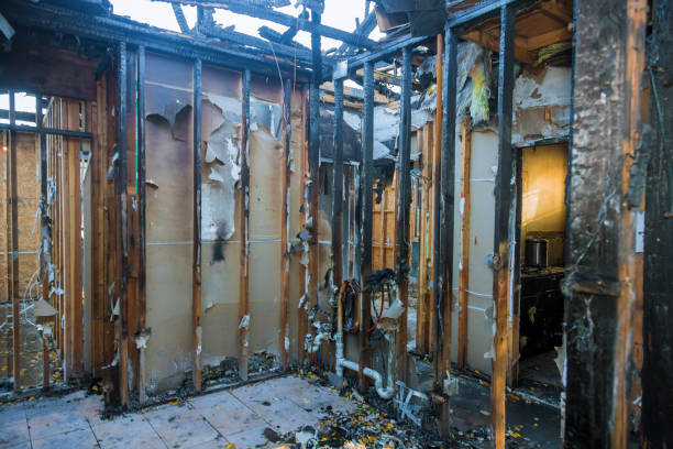 Professional Smoke Damage Restoration technician working in Hanover, MN